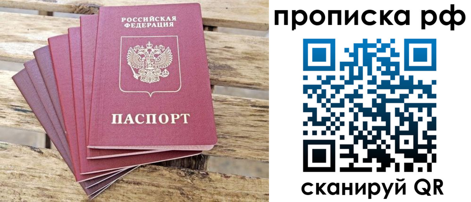 прописка гарантия в Александровске